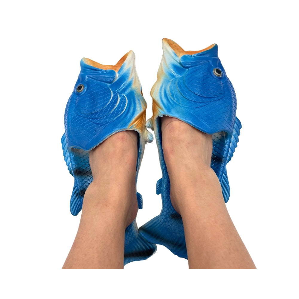 Fish Shoes Fun Footwear blue