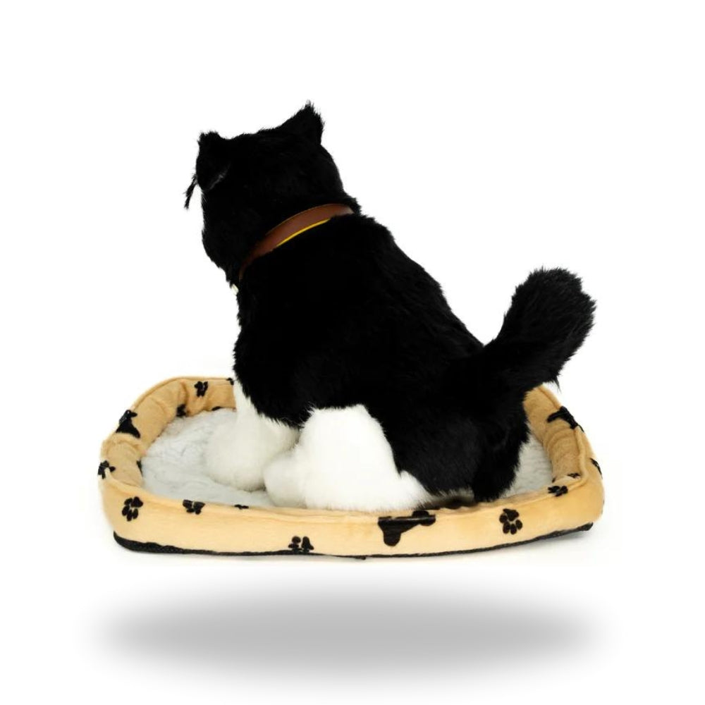 Back view of Sweet Petzzz Black Cat toy.