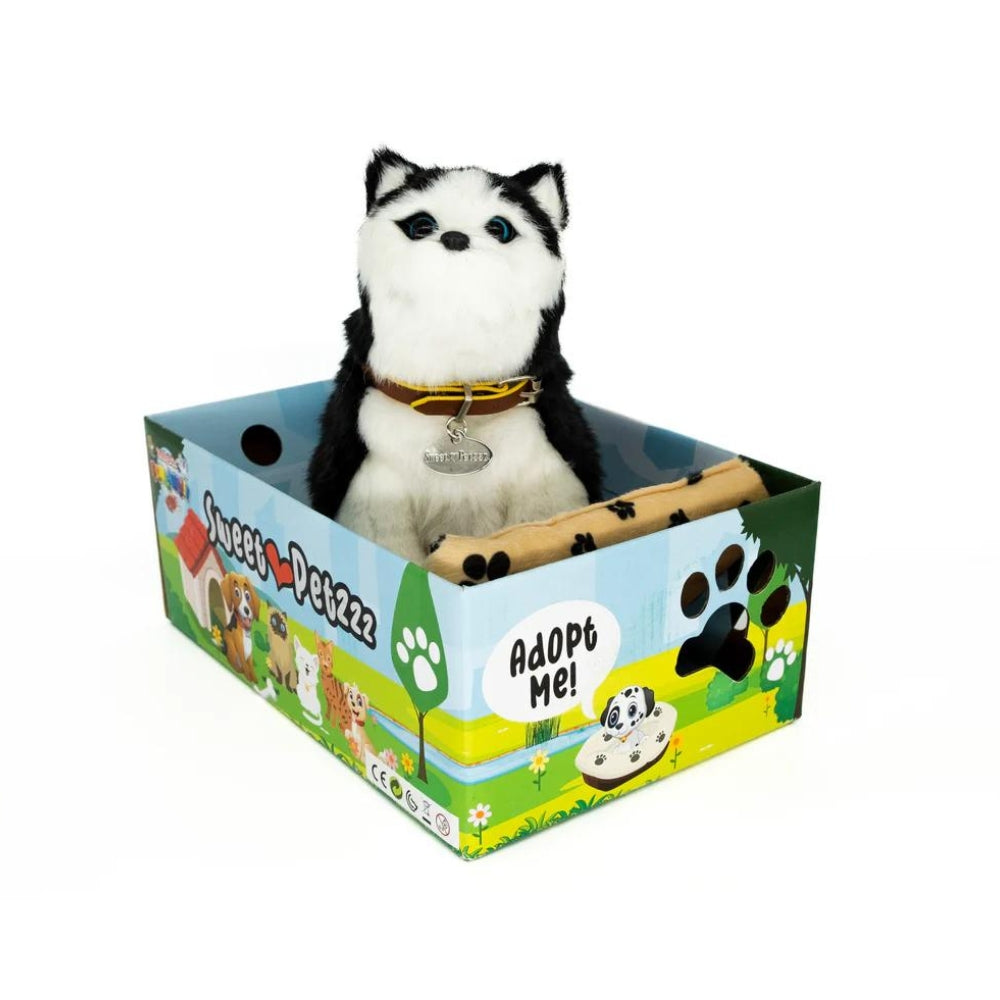 Sweet Petzzz Black Cat toy inside the box.