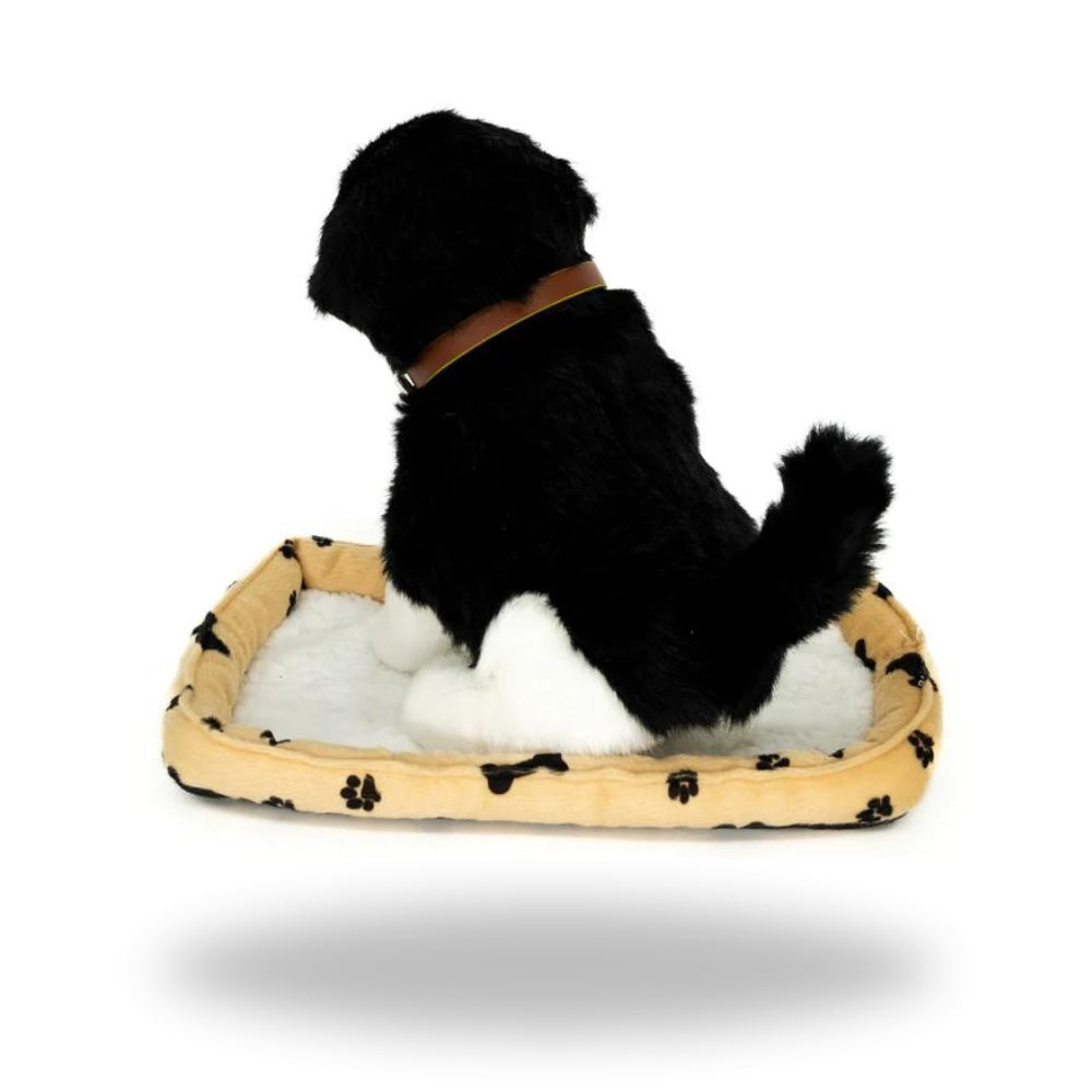 Back view of Sweet Petzzz Black Fluffy Dog toy dog.