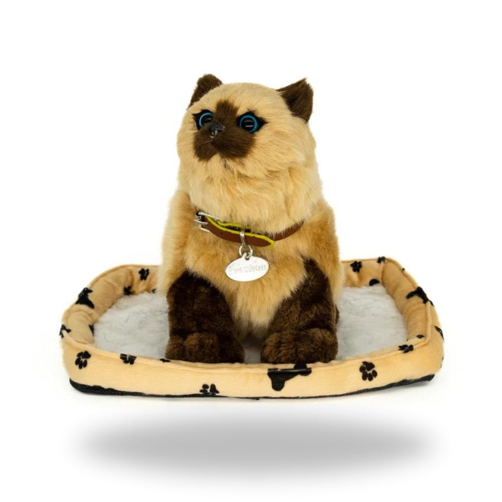 Right side of Sweet Petzzz Brown Cat toy.