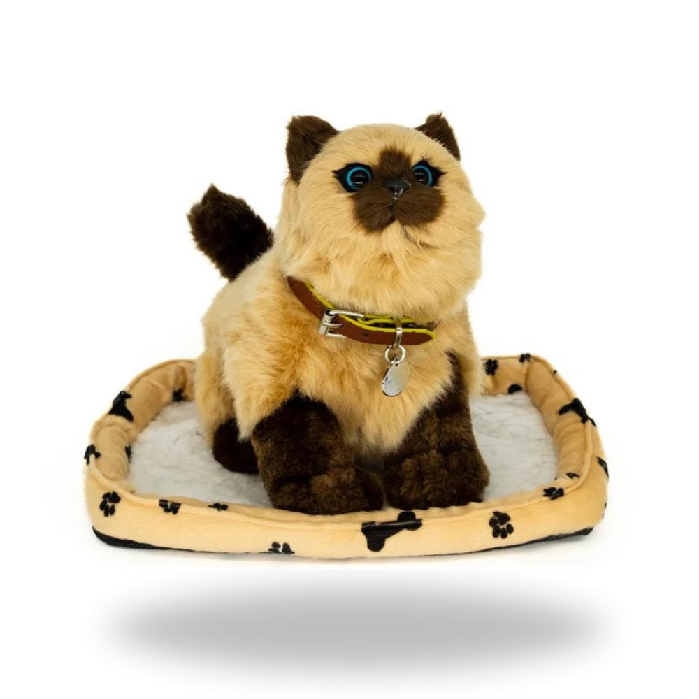 Front view of Sweet Petzzz Brown Cat realistic toy.