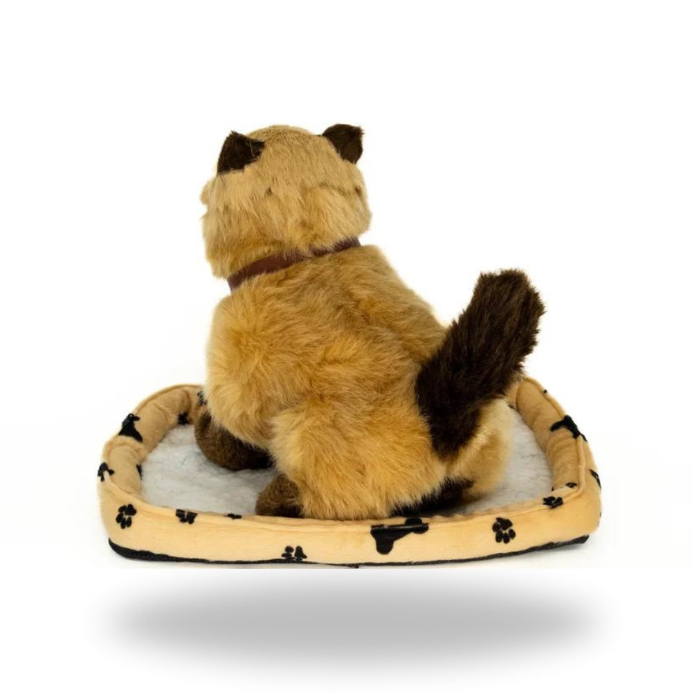 Back view of Sweet Petzzz Brown Cat toy.