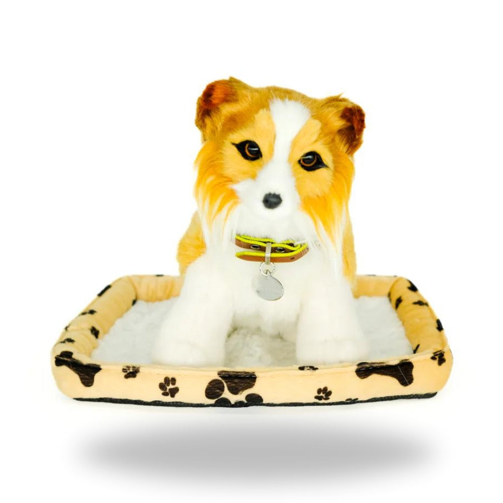 Sweet Petzzz Brown Collie Cat.jpg