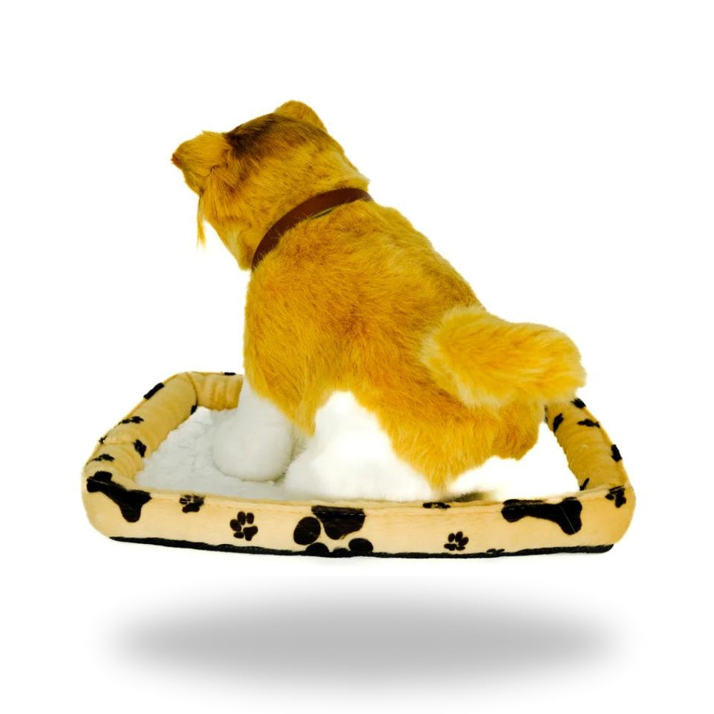 Sweet Petzzz Brown Collie Cat.jpg