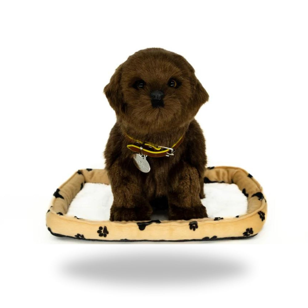Plenty Gifts Perfect Petzzz 96231 Plüschhund Chocolate Labrador, 25 cm, atmet wie ein echtes Haustier, Dunkelbraun, inkl. Körbchen und Adoptionszertifikat: Tests, Infos & Preisvergleich Plenty Gifts Perfect Petzzz 96231 Plüschhund Chocolate Labrador, 25 cm, atmet wie ein echtes Haustier, Dunkelbraun, inkl. Körbchen und Adoptionszertifikat: Tests, Infos & Preisvergleich