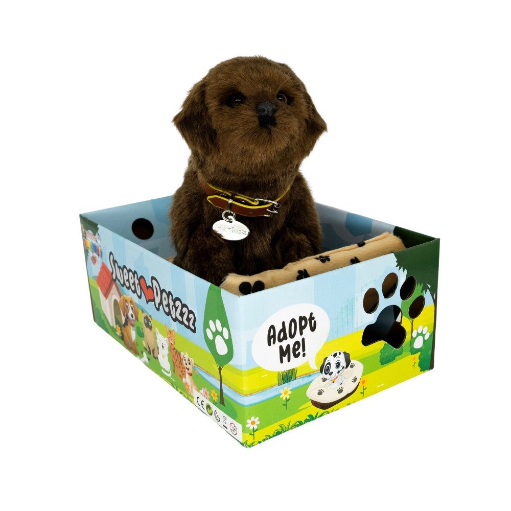 Sweet Petzzz Chocolate Labrador toy dog inside the box.