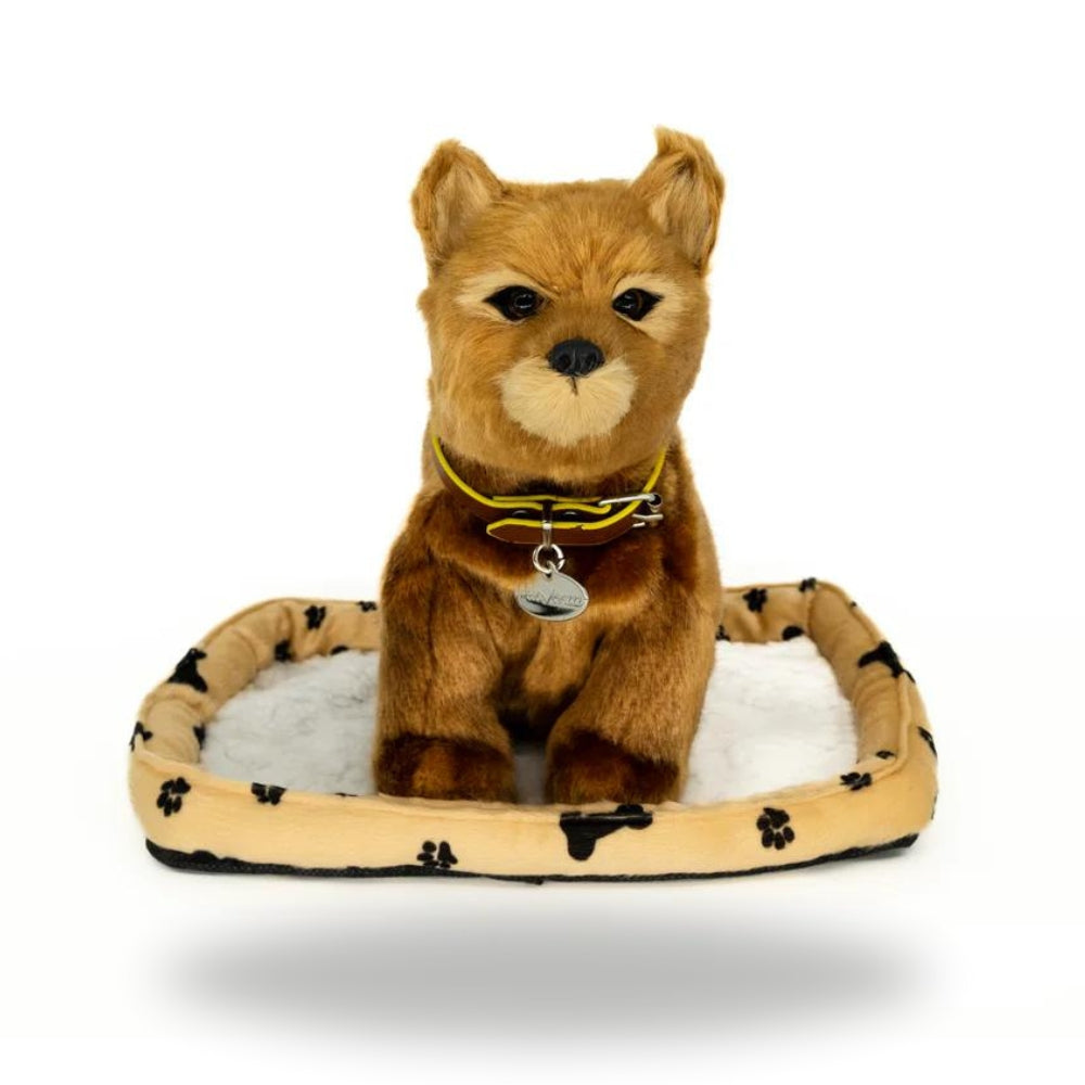 Front view of Sweet Petzzz Dingo realistic toy dog.