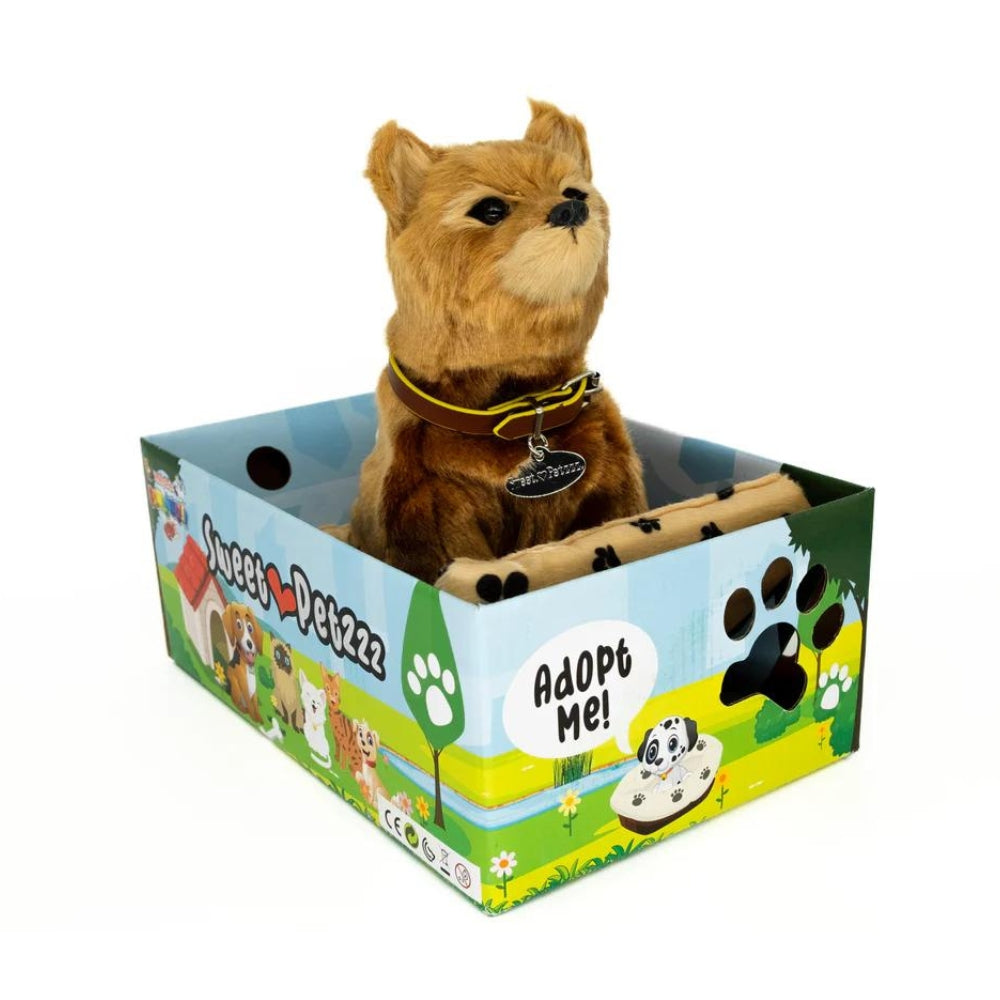 Sweet Petzzz Dingo toy dog inside the box.