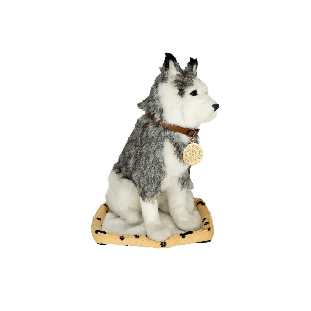 Giant Husky - Sweet Petzzz