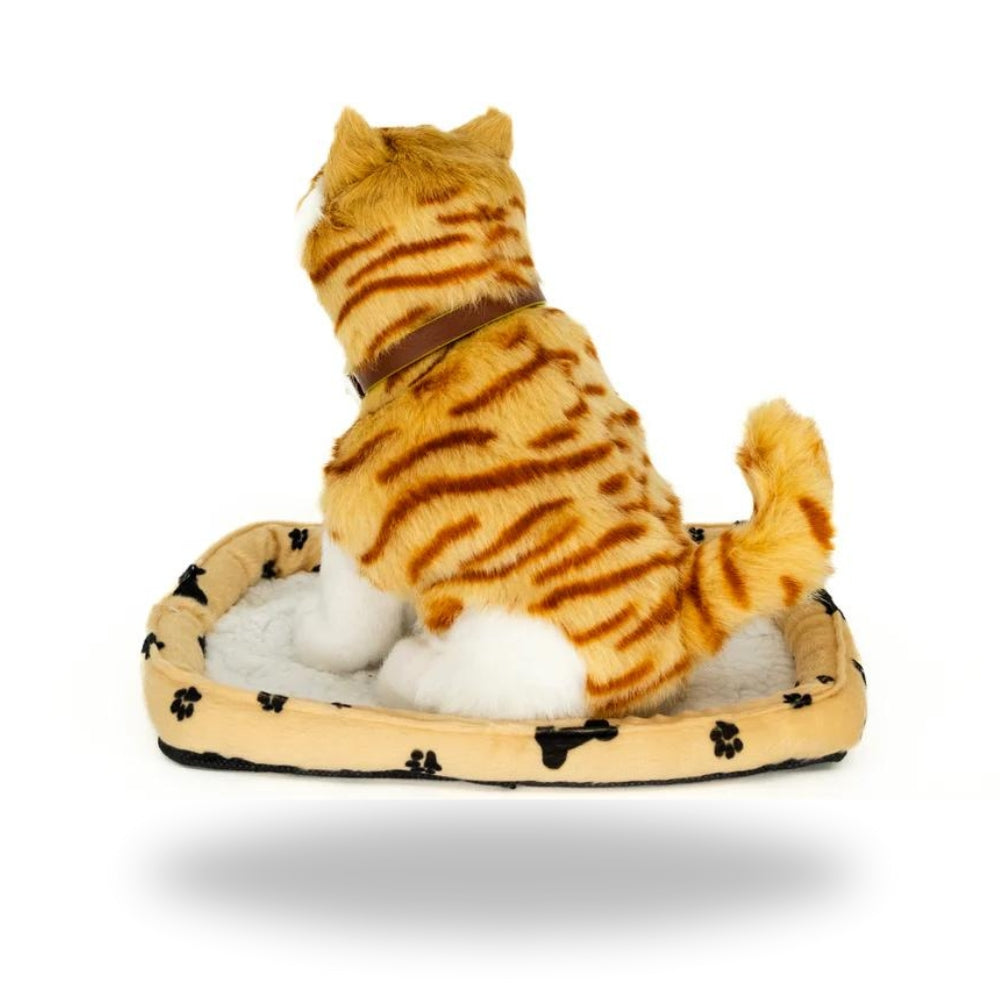 Back view of Sweet Petzzz Ginger Cat toy.