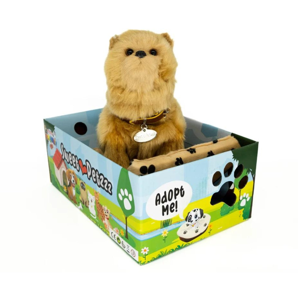 Sweet Petzzz Pomeranian toy dog inside the box.