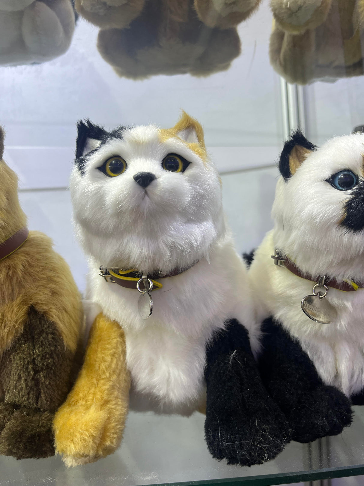 Sweet Petzzz - Original - Ivory Cat