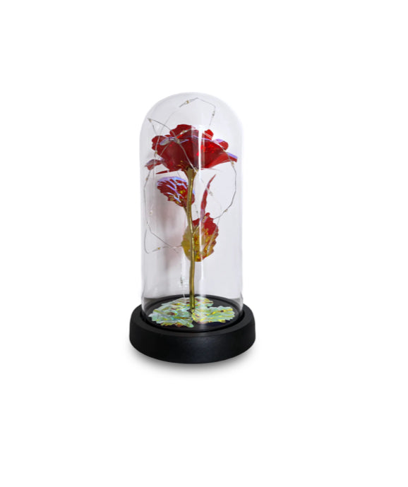 RAINBOW - Rose Flower Lamp red