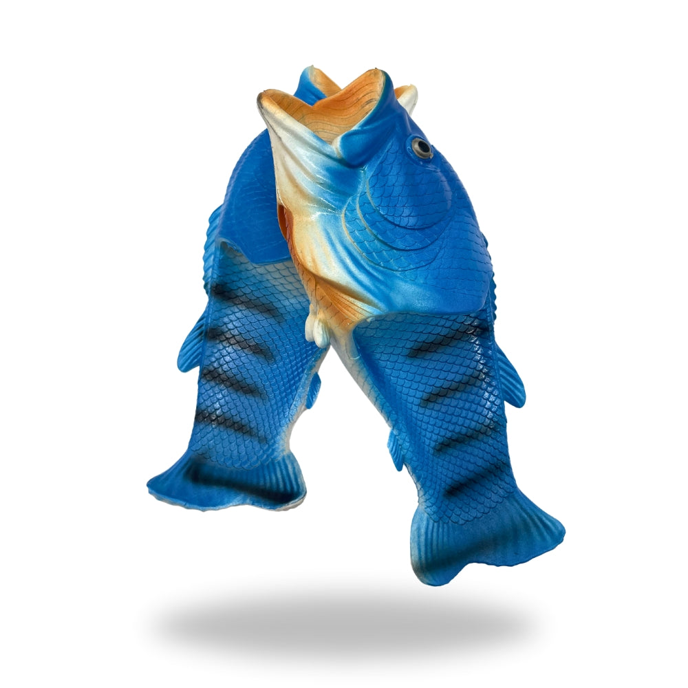 Fish Shoes Fun Footwear blue