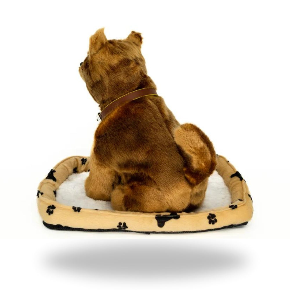 Back view of Sweet Petzzz Dingo toy dog.