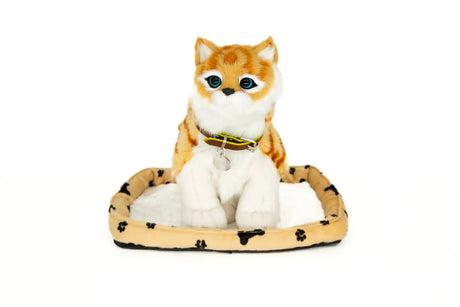 Ginger Cat - Sweet Petzzz. jpeg