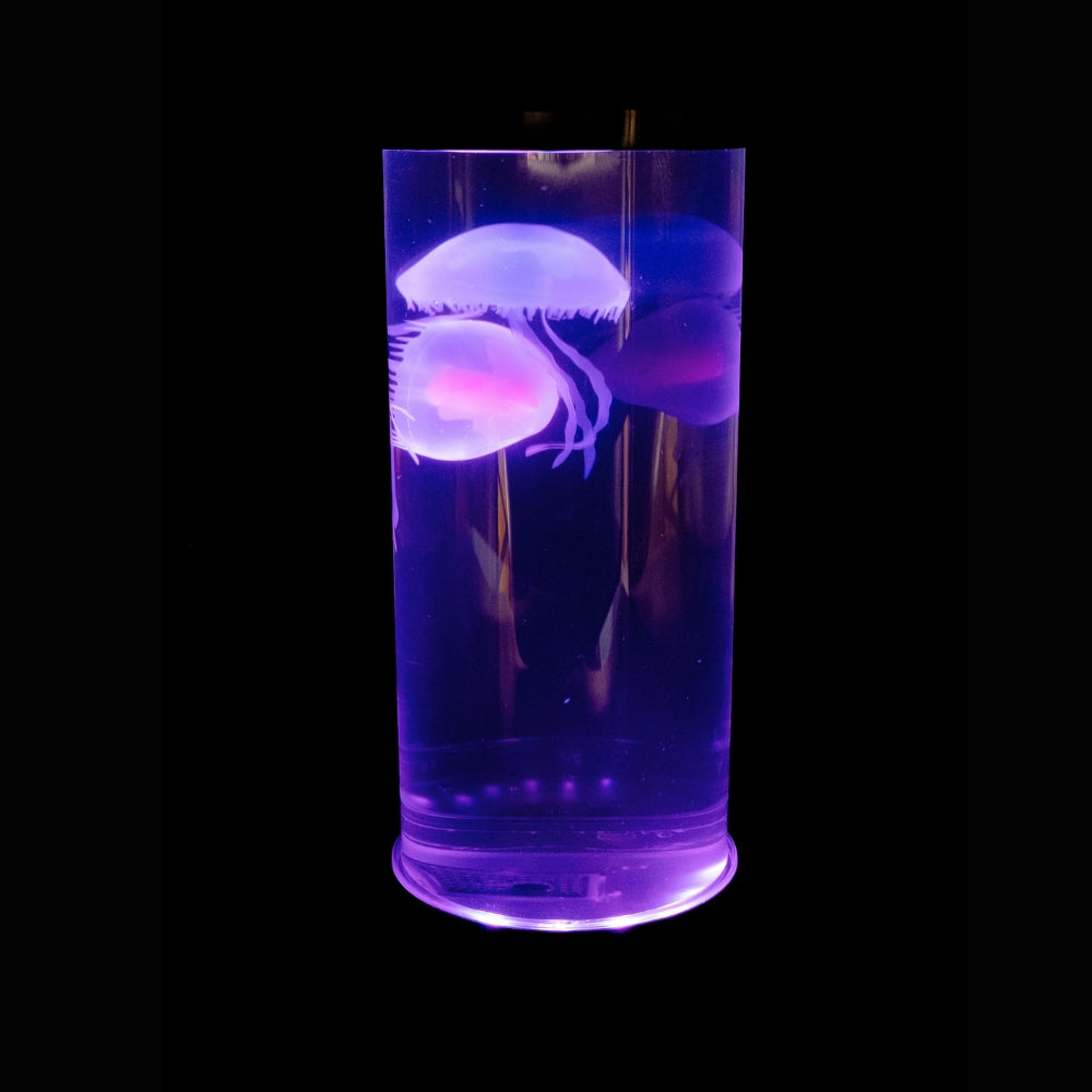 Jellyfish lamp.jpg