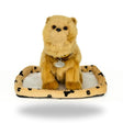 Front view of Sweet Petzzz Pomeranian realistic toy dog.