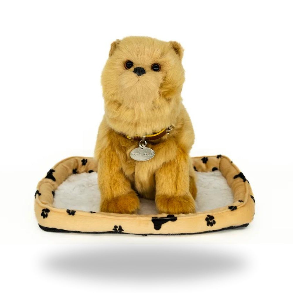 Front view of Sweet Petzzz Pomeranian realistic toy dog.