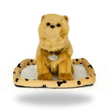 Front view of Sweet Petzzz Pomeranian realistic toy dog.