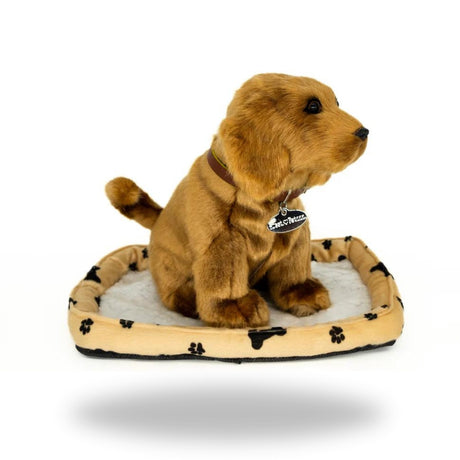 Right side of Sweet Petzzz Sausage Dog toy.