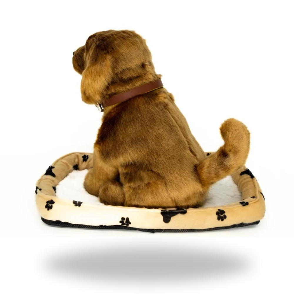 Back view of Sweet Petzzz Sausage Dog toy.