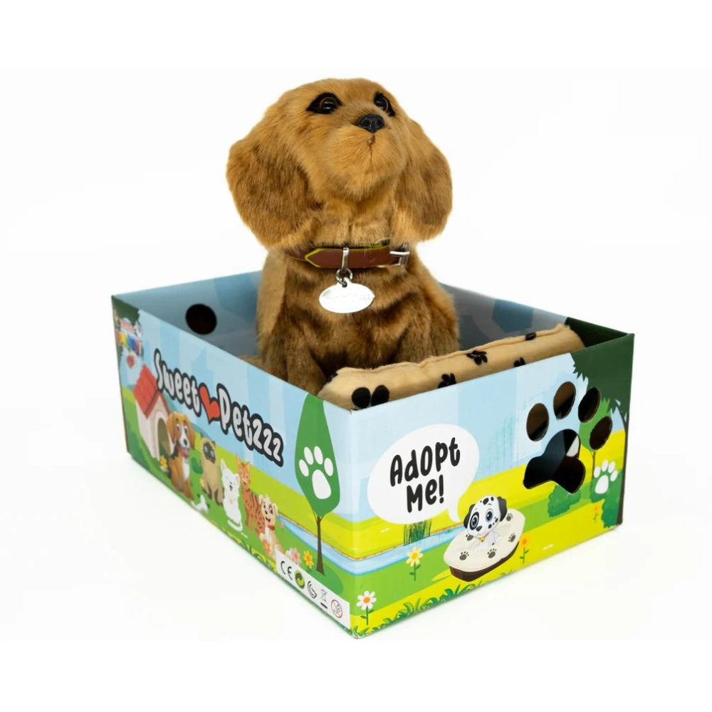 Sweet Petzzz Sausage Dog toy inside the box.