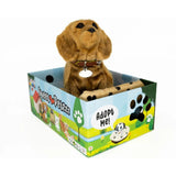 Sweet Petzzz Sausage Dog toy inside the box.
