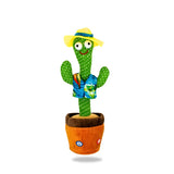 Dancing Cactus - Surfer