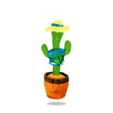 Dancing Cactus - Surfer