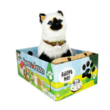 Sweet Petzzz White Cat toy inside the box.