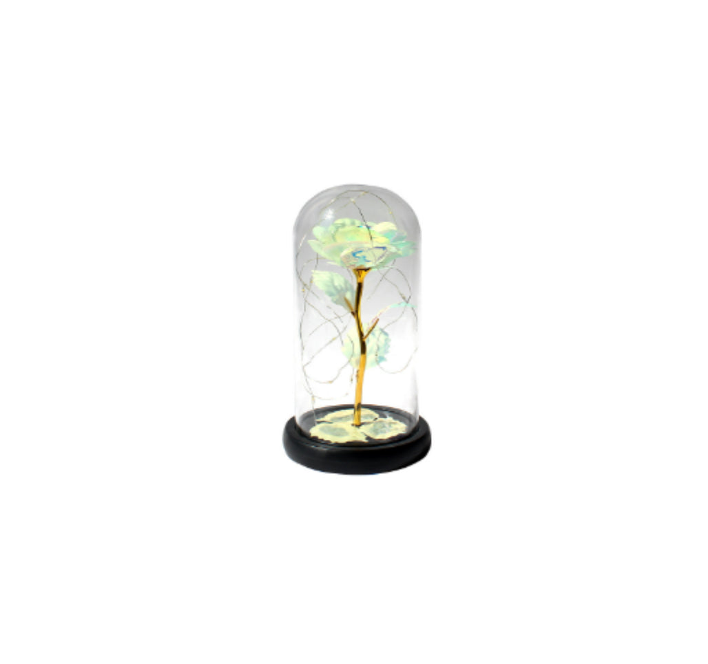 GLOWS - rose glow in the dark - white