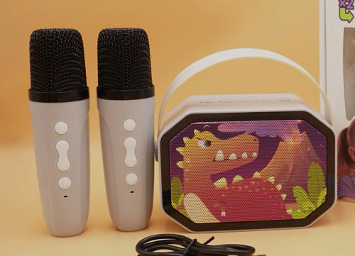 DOUBLE MICROPHONE Dino Karaoke Speaker Kits