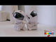 video demonstration of astronaut galaxy projector white guitar